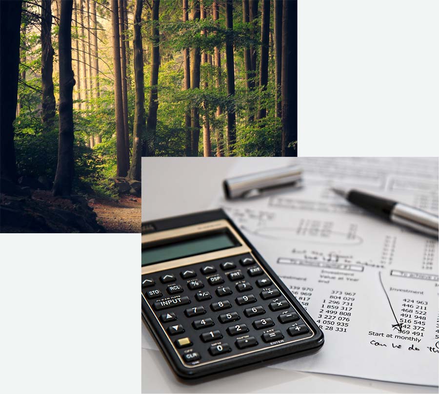 two photo collage of forrest and calculator, pen and paper with accounting numbers